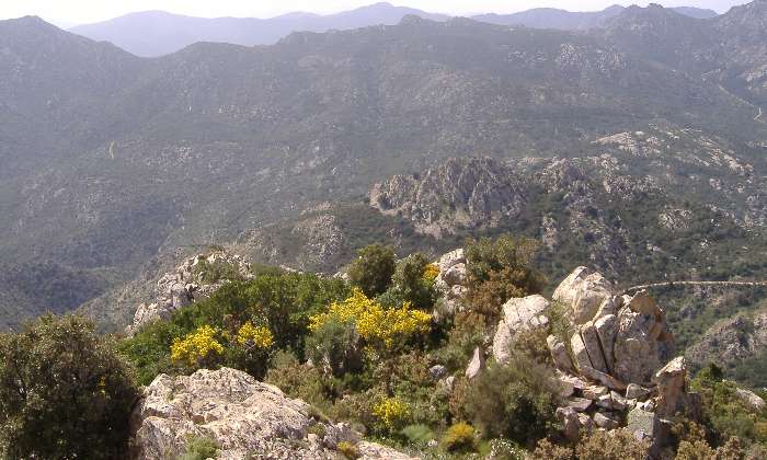 Puzzle Sardaigne - Paysages & Fleurs - Absolu Puzzle