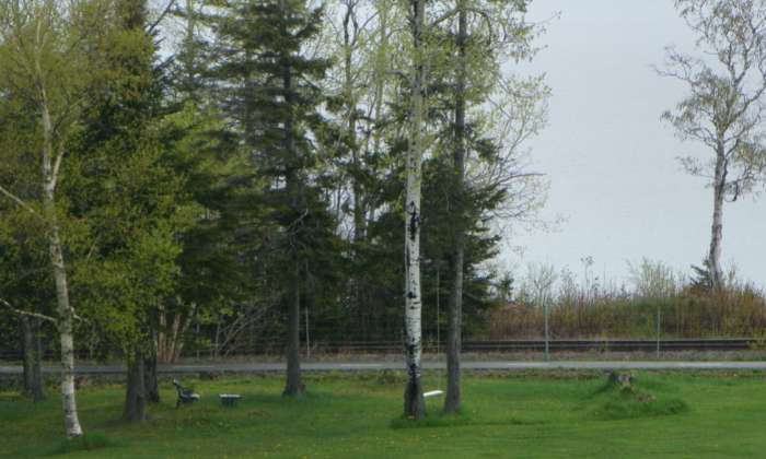 Puzzle gaspé - Paysages & Fleurs - Absolu Puzzle