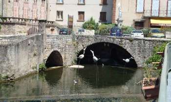 Puzzle 5944 - Canal