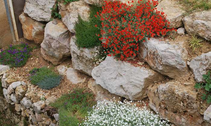 Puzzle rocaille