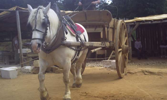 Puzzle cheval à Guédelon