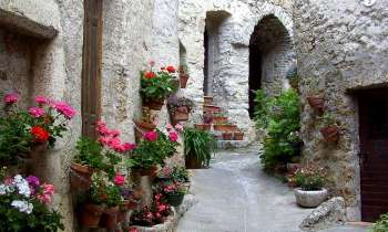 Puzzle 14242 - une rue