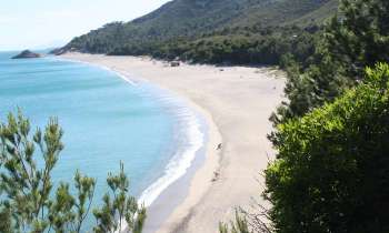 Puzzle 6051 - Plage de rêve