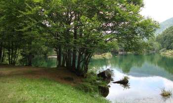 Puzzle 12289 - Bord du lac
