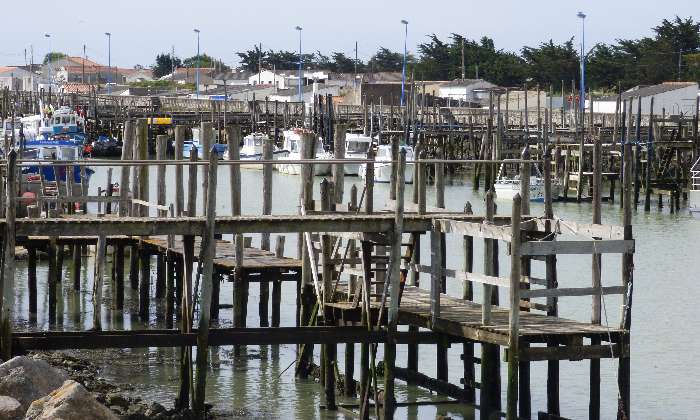 Puzzle port du bec