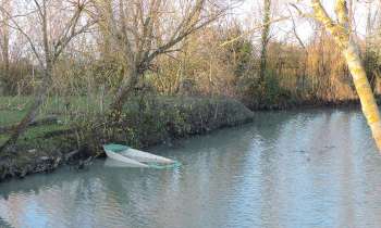 Puzzle 5864 - marais poitevin en automne
