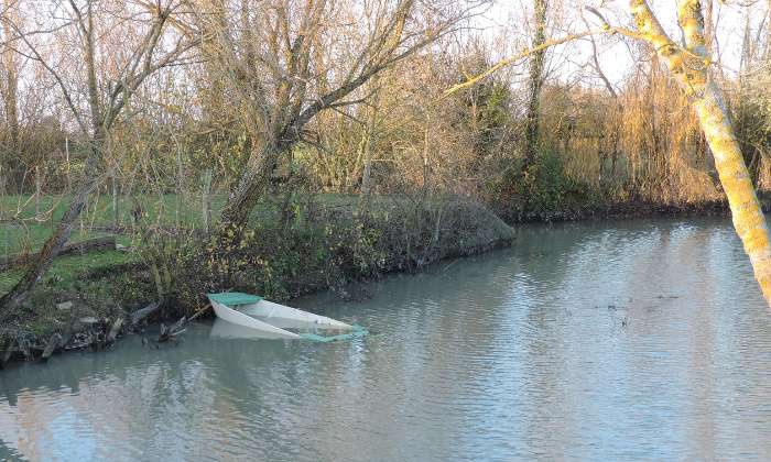 Puzzle marais poitevin en automne