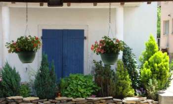 Puzzle 12384 - Plantes