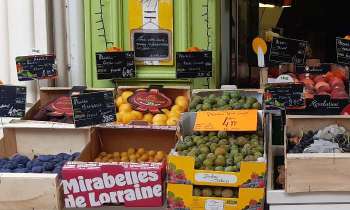 Puzzle 6428 - Les fruits
