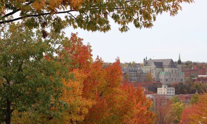 Puzzle Les couleurs d'automne