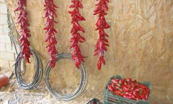 Puzzle 6450 - Piments