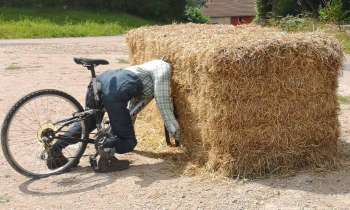 Puzzle 6097 - Accident dans la paille