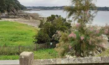 Puzzle 6325 - Estuaire de la Rance
