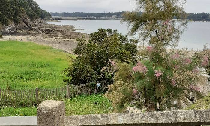 Puzzle Estuaire de la Rance