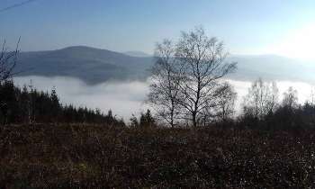 Puzzle 11565 - brume
