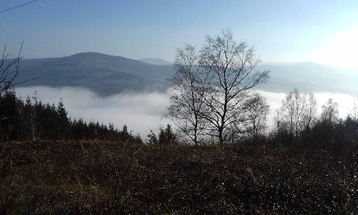 Puzzle brume