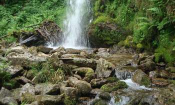 Puzzle 12175 - Cascade