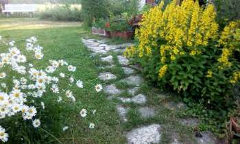 Puzzle 6456 - jardin au printemps