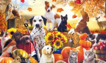 Puzzle 6347 - Les animaux