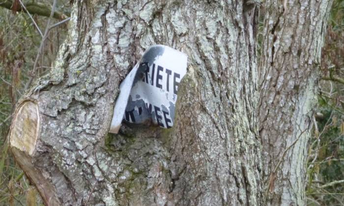 Puzzle arbre vorace