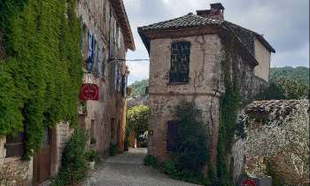 Puzzle 13638 - Ruelle