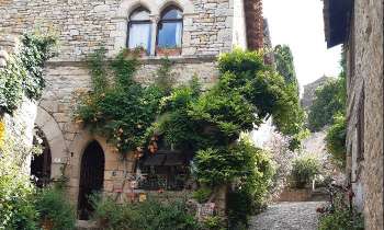 Puzzle 6509 - Maison