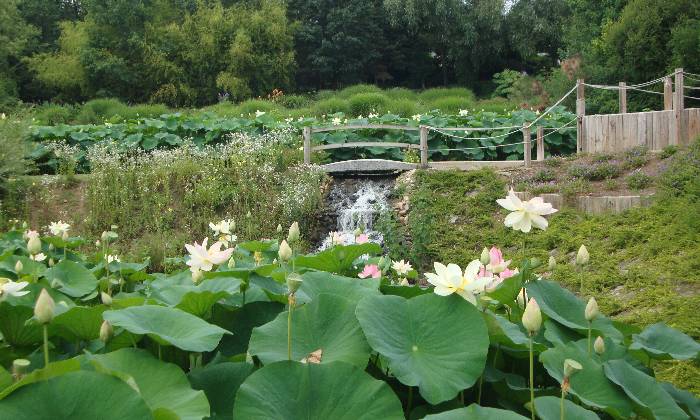 Puzzle Jardin