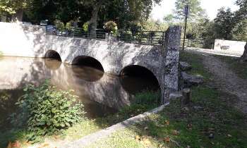 Puzzle 6180 - Petit pont