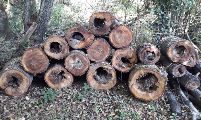 Puzzle Tas de bois