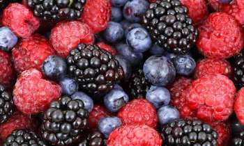 Puzzle 6073 - Fruits rouges