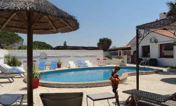Puzzle 6127 - camargue