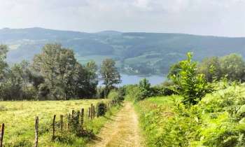 Puzzle 6161 - Morvan