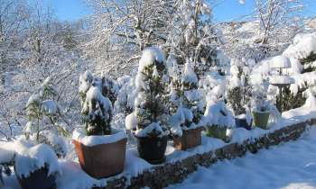 Puzzle 6167 - manteau hivernal