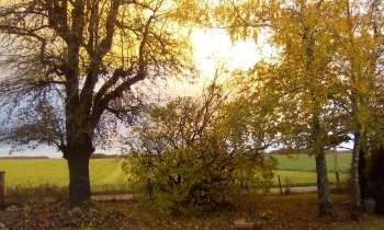 Puzzle 6384 - soleil d'automne