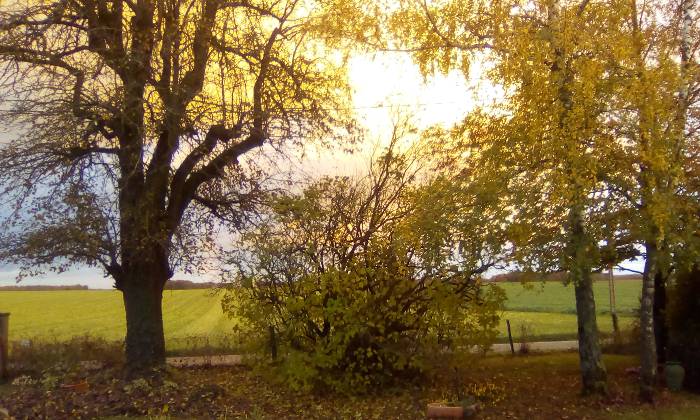 Puzzle soleil d'automne