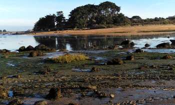 Puzzle 12739 - Marée basse