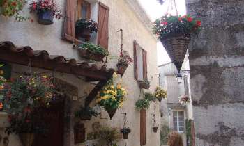 Puzzle 12196 - Ruelle