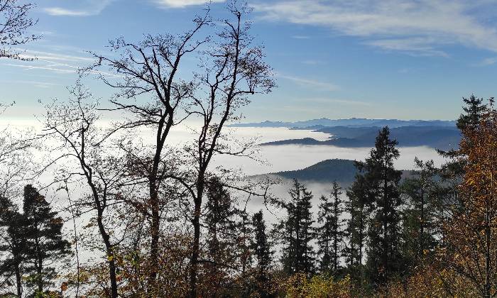 Puzzle Plaine d'Alsace