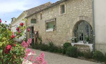 Puzzle 6502 - Talmont- sur-Gironde