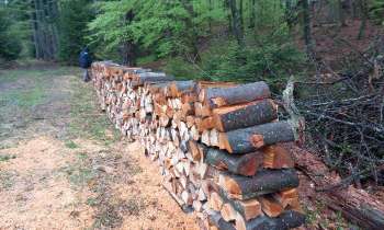 Puzzle 14112 - Rangée de bois coupés