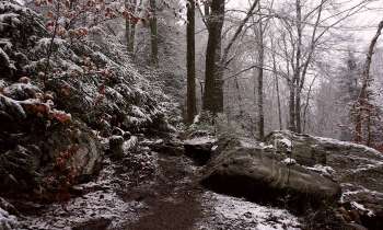 Puzzle 6374 - Paysage hivernal