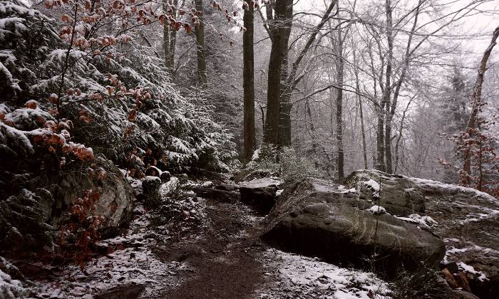Puzzle Paysage hivernal