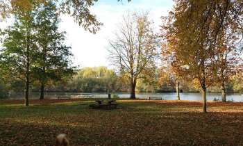 Puzzle 9395 - couleurs d'automne