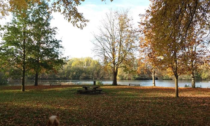 Puzzle couleurs d'automne