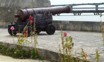Puzzle 12395 - Fort-Louvois