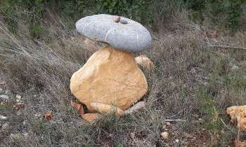 Puzzle 6222 - champignon non comestible