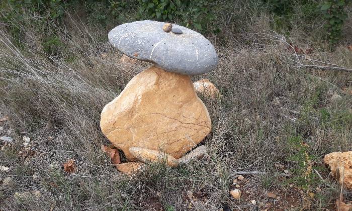 Puzzle champignon non comestible
