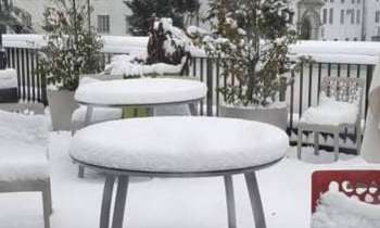 Puzzle 6254 - La terrasse