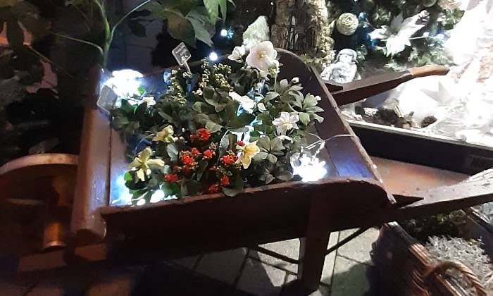 Puzzle Les fleurs