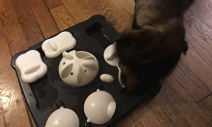 Puzzle trop fastoche